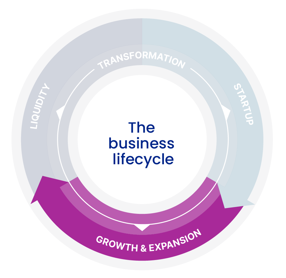 Business Stages Growth