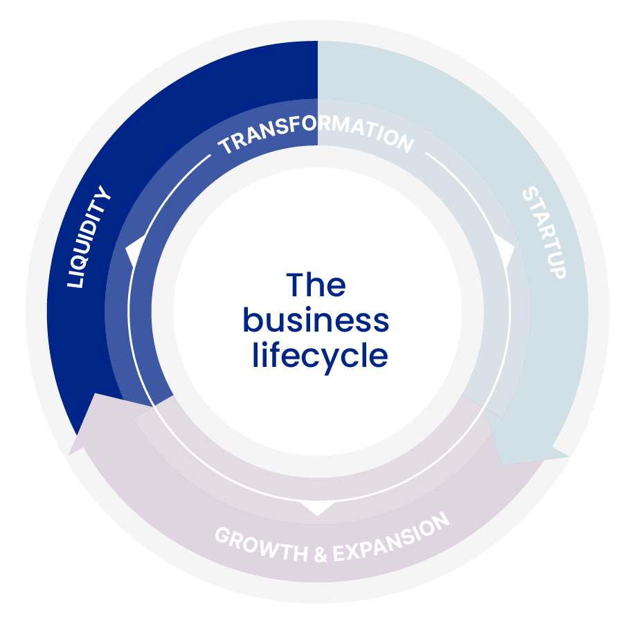 Business Stages Liquidity